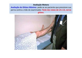 Avaliação Motora
Avaliação do Glúteo Máximo: pede-se ao paciente que pressione sua
perna contra a mão do examinador. Teste das raízes de L4 e L5, nervo
glúteo.
 