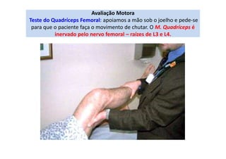 Avaliação Motora
Teste do Quadríceps Femoral: apoiamos a mão sob o joelho e pede-se
para que o paciente faça o movimento de chutar. O M. Quadríceps é
inervado pelo nervo femoral – raízes de L3 e L4.
 