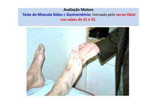 Avaliação Motora
Teste do Músculo Sóleo e Gastrocnêmio: inervada pelo nervo tibial
nas raízes de S1 e S2.
 