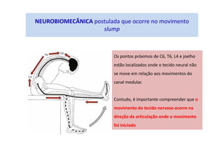NEUROBIOMECÂNICA postulada que ocorre no movimento
slump
Os pontos próximos de C6, T6, L4 e joelho
estão localizados onde o tecido neural não
se move em relação aos movimentos do
canal medular.
Contudo, é importante compreender que o
movimento do tecido nervoso ocorre na
direção da articulação onde o movimento
foi iniciado
 