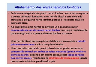 Alinhamento das raízes nervosas lombares
• Embora a emergência do quarto nervo lombar ocorra entre a quarta
e quinta vértebras lombares, uma hérnia discal a este nível não
afeta a raiz do quarto nervo lombar, porque a raiz deste situa-se
acima do disco.
• Ao invés disso, uma hérnia ao nível de L4-5 costuma causar
compressão da raiz do quinto nervo lombar que migra caudalmente
para emergir entre a quinta vértebra lombar e o sacro.
• Uma hérnia discal entre a quinta vértebra e o sacro afeta a raiz do
primeiro nervo sacro e não a do quinto lombar.
• Uma protusão central do quarto disco lombar pode causar uma
compressão central em ambas as raízes nervosas (quinta lombar e
primeira sacral), podendo em alguns casos, afetar todas as raízes
dos nervos sacrais, resultando na síndrome da cauda equina (perda
do controle urinário e paralisia dos pés.
 