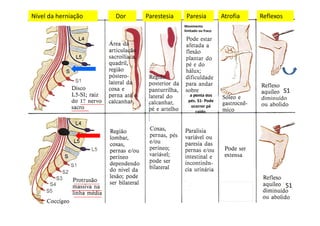Nível da herniação Dor Parestesia Paresia Atrofia Reflexos
Movimento
limitado ou fraco
S1
S1
a ponta dos
pés. S1- Pode
ocorrer pé
caído.
 