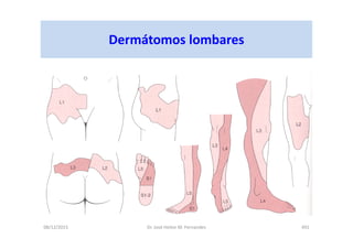 08/12/2015 Dr. José Heitor M. Fernandes 491
Dermátomos lombares
 