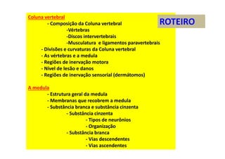 Coluna vertebral
- Composição da Coluna vertebral
-Vértebras
-Discos intervertebrais
-Musculatura e ligamentos paravertebrais
- Divisões e curvaturas da Coluna vertebral
- As vértebras e a medula
- Regiões de inervação motora
- Nível de lesão e danos
- Regiões de inervação sensorial (dermátomos)
A medula
- Estrutura geral da medula
- Membranas que recobrem a medula
- Substância branca e substância cinzenta
- Substância cinzenta
- Tipos de neurônios
- Organização
- Substância branca
- Vias descendentes
- Vias ascendentes
ROTEIRO
 