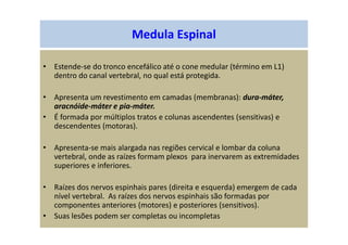 Medula Espinal
• Estende-se do tronco encefálico até o cone medular (término em L1)
dentro do canal vertebral, no qual está protegida.
• Apresenta um revestimento em camadas (membranas): dura-máter,
aracnóide-máter e pia-máter.
• É formada por múltiplos tratos e colunas ascendentes (sensitivas) e
descendentes (motoras).
• Apresenta-se mais alargada nas regiões cervical e lombar da coluna
vertebral, onde as raízes formam plexos para inervarem as extremidades
superiores e inferiores.
• Raízes dos nervos espinhais pares (direita e esquerda) emergem de cada
nível vertebral. As raízes dos nervos espinhais são formadas por
componentes anteriores (motores) e posteriores (sensitivos).
• Suas lesões podem ser completas ou incompletas
 
