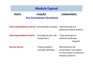 TRATO FUNÇÃO COMENTÁRIO
Vias Ascendentes (Sensitivas)
Trato espinotalâmico anterior Sensibilidade ao toque Trato lesionado na
síndrome medular anterior
Trato espinotalâmico lateral Sensação de dor e de Trato lesionado na
temperatura síndrome de Brown-
Sequard
Colunas dorsais Propriocepção e Normalmente são
sensação vibratória preservadas, mas podem
ser lesionadas na síndrome
medular posterior
Medula Espinal
 