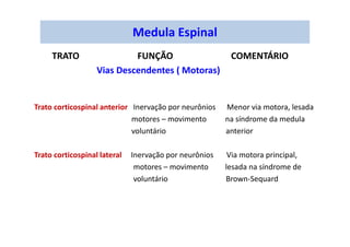 TRATO FUNÇÃO COMENTÁRIO
Vias Descendentes ( Motoras)
Trato corticospinal anterior Inervação por neurônios Menor via motora, lesada
motores – movimento na síndrome da medula
voluntário anterior
Trato corticospinal lateral Inervação por neurônios Via motora principal,
motores – movimento lesada na síndrome de
voluntário Brown-Sequard
Medula Espinal
 