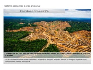 Sistema económico e crise ambiental
Incendios e deforestación
• Hoxe en día, por cada hora que pasa desaparecen de noso planeta uns 16 Km2 de bosque debido ós incendios
e as talas.
• Na actualidade máis da mitade da madeira procede de bosques tropicais, xa que os bosques tépedos foron
esquilmados ó longo da historia
 