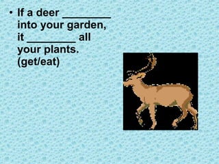 • If a deer ________
into your garden,
it ________ all
your plants.
(get/eat)
 