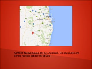Ashford, Nueva Gales del sur, Australia. En ese punto era
donde recogía tabaco mi abuelo