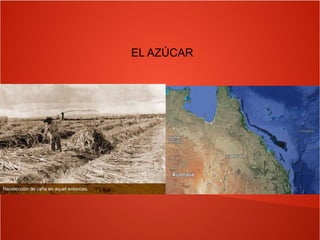 EL AZÚCAR