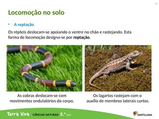 A locomoção dos animais- ciências 5 ano.pptx