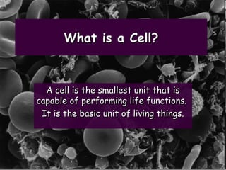 What is a Cell?

A cell is the smallest unit that is
capable of performing life functions.
It is the basic unit of living ...