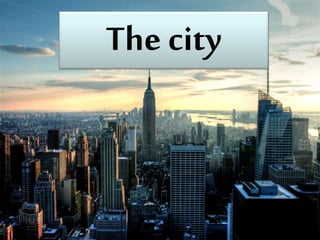 The city
 