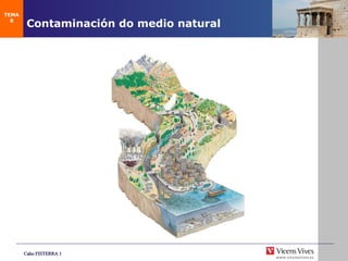 Contaminaci ón do medio natural TEMA 8 