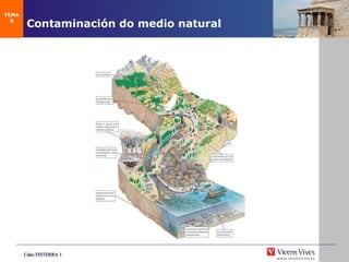 Contaminaci ón do medio natural TEMA 8 