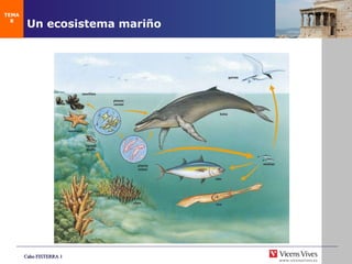 Un ecosistema mariño TEMA 8 