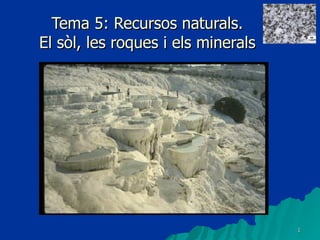 Tema 5: Recursos naturals. El sòl, les roques i els minerals 