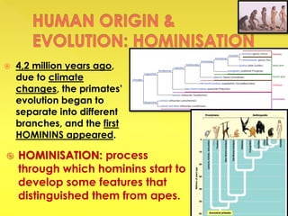  4,2 million years ago,
due to climate
changes, the primates’
evolution began to
separate into different
branches, and the first
HOMININS appeared.
 HOMINISATION: process
through which hominins start to
develop some features that
distinguished them from apes.
 