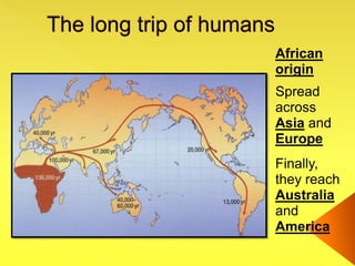 African
origin
Spread
across
Asia and
Europe
Finally,
they reach
Australia
and
America
 