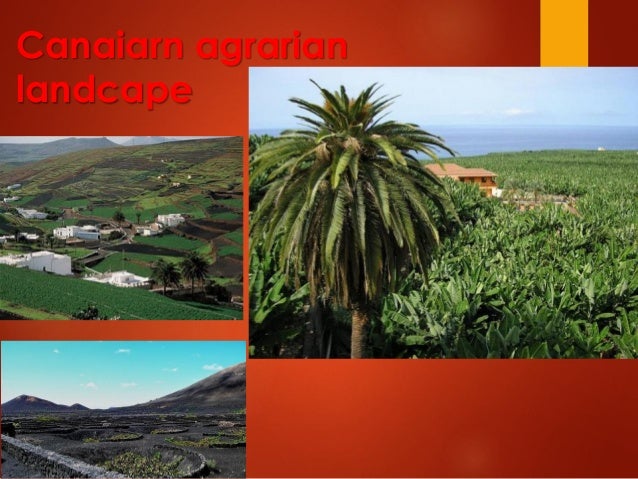 Canaiarn agrarian
landcape
 