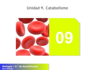 09
Biología • 2.º de bachillerato
Saro Hidalgo

 