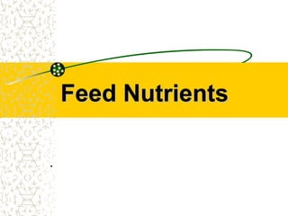 Feed Nutrients
.
 