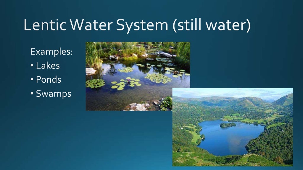 Unit 9, Lesson 3 The Hydrosphere
