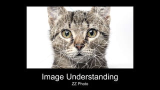 Image Understanding
ZZ Photo
 