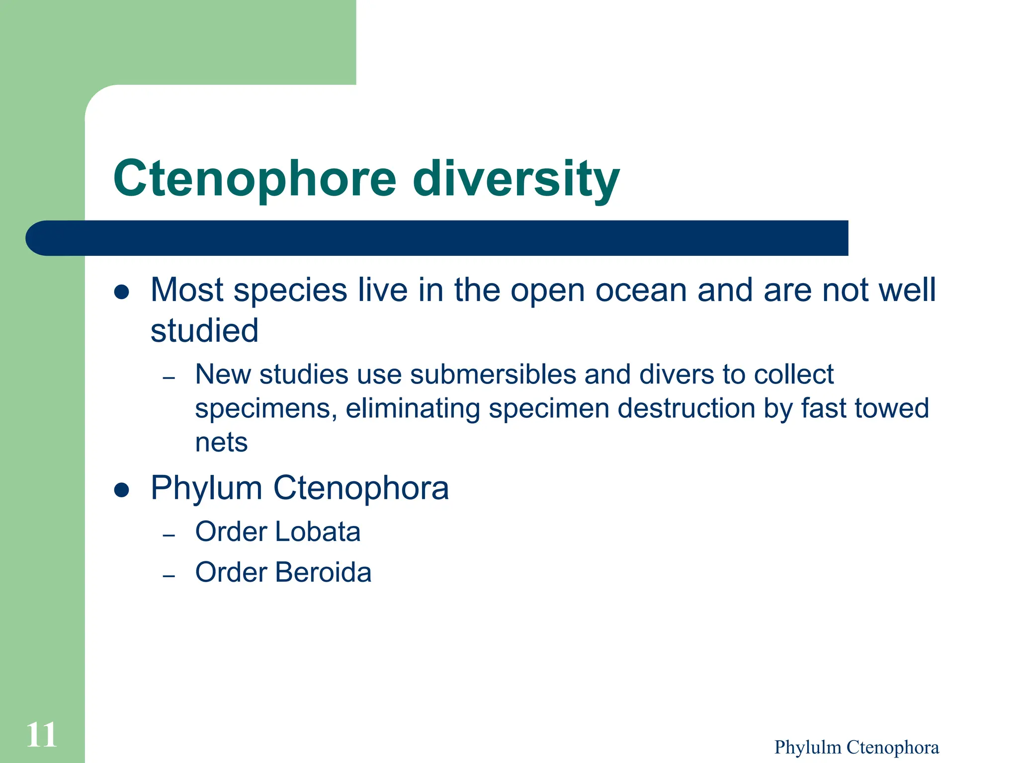 Phylum_Ctenophora-ctenophora-ctenophora.ppt