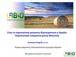 Стан та перспективи розвитку біоенергетики в Україні.
Перспективи створення ринку біопалив.
Гелетуха Георгій, к.т.н.
Голов...