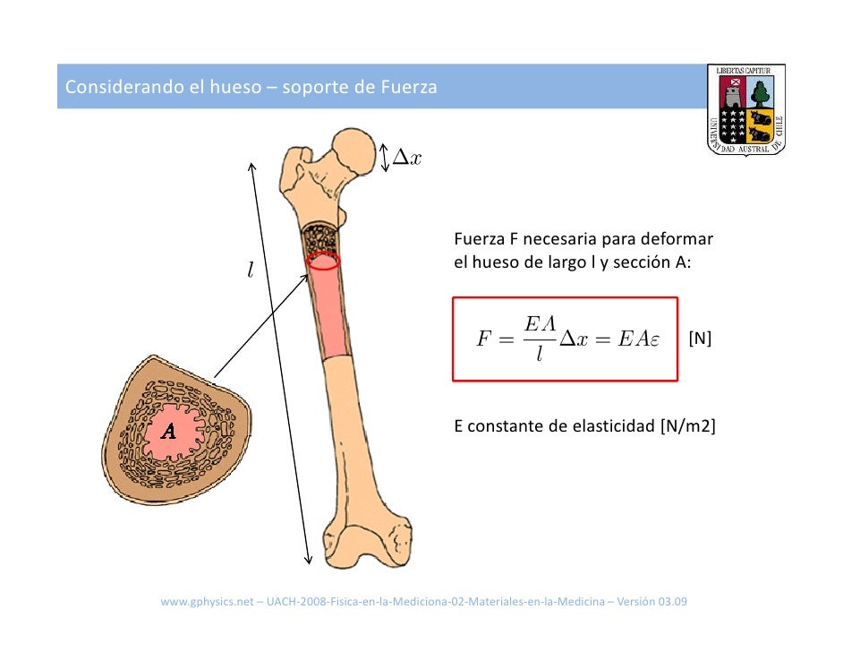 UACH Fisica en la Medicina 02 Materiales