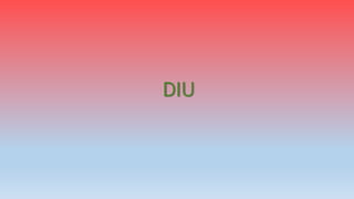 DIU
 