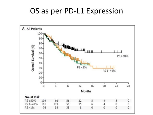 Immunotherapy in lung cancer