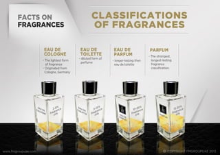 FM World UAE & GCC Company Profile