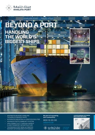 Uae imports and exports guide