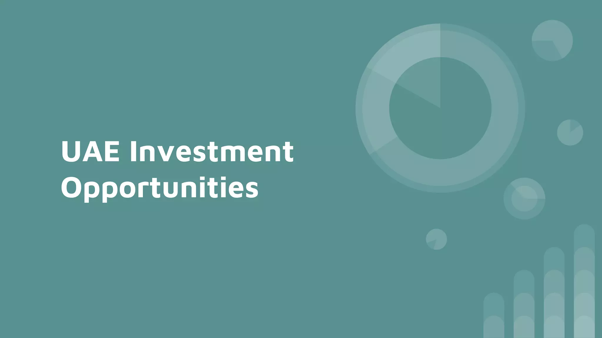 UAE Investment Opportunities.pptx