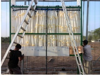 Dr. - Ing. Martin Buchholz, Technische Universität Berlin, Watergy GmbH Berlin
 