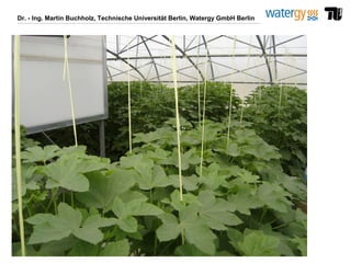 Dr. - Ing. Martin Buchholz, Technische Universität Berlin, Watergy GmbH Berlin
 