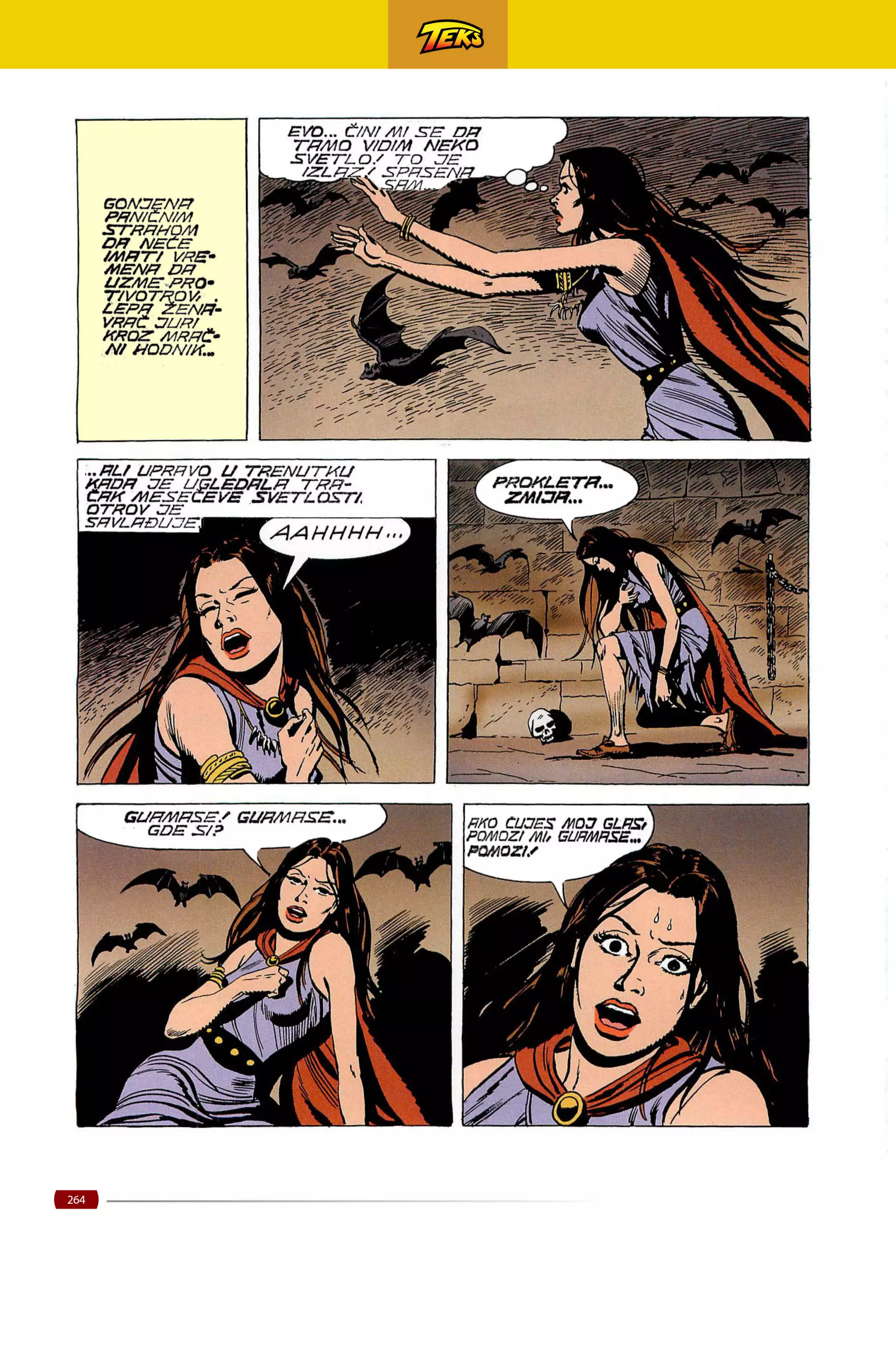 060 teks viler - guaimas