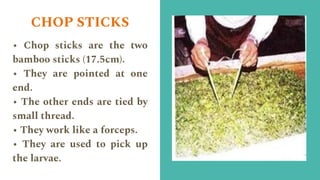 CHOP STICKS
• Chop sticks are the two
bamboo sticks (17.5cm).
• They are pointed at one
end.
• The other ends are tied by
small thread.
• They work like a forceps.
• They are used to pick up
the larvae.
 