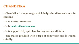 CHANDRIKA
• Chandrika is a mountage which helps the silkworms to spin
cocoons.
• It is a spiral mountage.
• It is made of bamboo mat.
• It is supported by spilt bamboo reepers on all sides.
• The mat is provided with a tape of 4cm width and is wound
spirally.
 