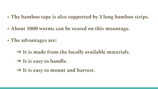 • The bamboo tape is also supported by 3 long bamboo strips.
• About 1000 worms can be reared on this mountage.
• The advantages are:
➔ It is made from the locally available materials.
➔ It is easy to handle.
➔ It is easy to mount and harvest.
 