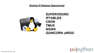 brunorocha.org
SUPERVISORD
IPTABLES
CRON
TMUX
NGINX
GUNICORN uWSGI
Domine O Sistema Operacional
 