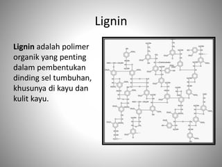 Lignin
Lignin adalah polimer
organik yang penting
dalam pembentukan
dinding sel tumbuhan,
khusunya di kayu dan
kulit kayu.
 