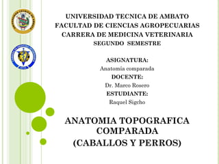 UNIVERSIDAD TECNICA DE AMBATO
FACULTAD DE CIENCIAS AGROPECUARIAS
CARRERA DE MEDICINA VETERINARIA
SEGUNDO SEMESTRE
ASIGNATURA:
Anatomía comparada
DOCENTE:
Dr. Marco Rosero
ESTUDIANTE:
Raquel Sigcho
ANATOMIA TOPOGRAFICA
COMPARADA
(CABALLOS Y PERROS)
 