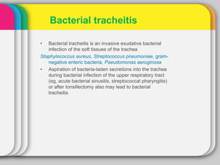 • Bacterial tracheitis is an invasive exudative bacterial
infection of the soft tissues of the trachea
Staphylococcus aureus, Streptococcus pneumoniae, gram-
negative enteric bacteria, Pseudomonas aeruginosa
• Aspiration of bacteria-laden secretions into the trachea
during bacterial infection of the upper respiratory tract
(eg, acute bacterial sinusitis, streptococcal pharyngitis)
or after tonsillectomy also may lead to bacterial
tracheitis
Bacterial tracheitis
 