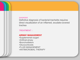 DIAGNOSIS
Definitive diagnosis of bacterial tracheitis requires
direct visualization of an inflamed, exudate-covered
trachea
TREATMENT :
AIRWAY MANAGEMENT
•Supplemental oxygen
•Artificial airway
•Bronchodilators
•Glucocorticoids
•FLUID MANAGEMENT
•ANTIMICROBIAL THERAPY
 