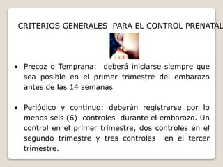 Lograr actitudes saludables en la gestante, puérpera, familia y comunidad a través de una educación efectiva 