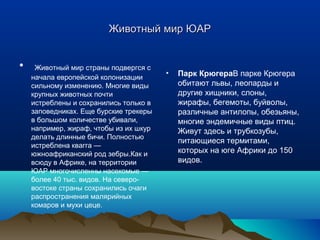 ЖЖииввооттнныыйй ммиирр ЮЮААРР 
• Животный мир страны подвергся с 
начала европейской колонизации 
сильному изменению. Многие виды 
крупных животных почти 
истреблены и сохранились только в 
заповедниках. Еще бурские трекеры 
в большом количестве убивали, 
например, жираф, чтобы из их шкур 
делать длинные бичи. Полностью 
истреблена квагга — 
южноафриканский род зебры.Как и 
всюду в Африке, на территории 
ЮАР многочисленны насекомые — 
более 40 тыс. видов. На северо- 
востоке страны сохранились очаги 
распространения малярийных 
комаров и мухи цеце. 
• Парк КрюгераВ парке Крюгера 
обитают львы, леопарды и 
другие хищники, слоны, 
жирафы, бегемоты, буйволы, 
различные антилопы, обезьяны, 
многие эндемичные виды птиц. 
Живут здесь и трубкозубы, 
питающиеся термитами, 
которых на юге Африки до 150 
видов. 
 